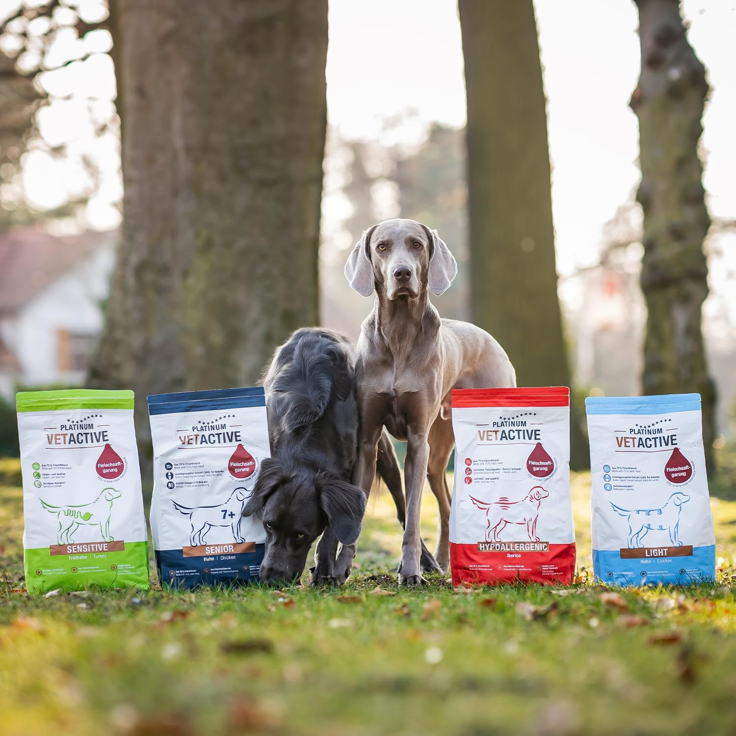 PLATINUM VetActive Light Hundefutter 5 kg fett- und kalorienreduziert