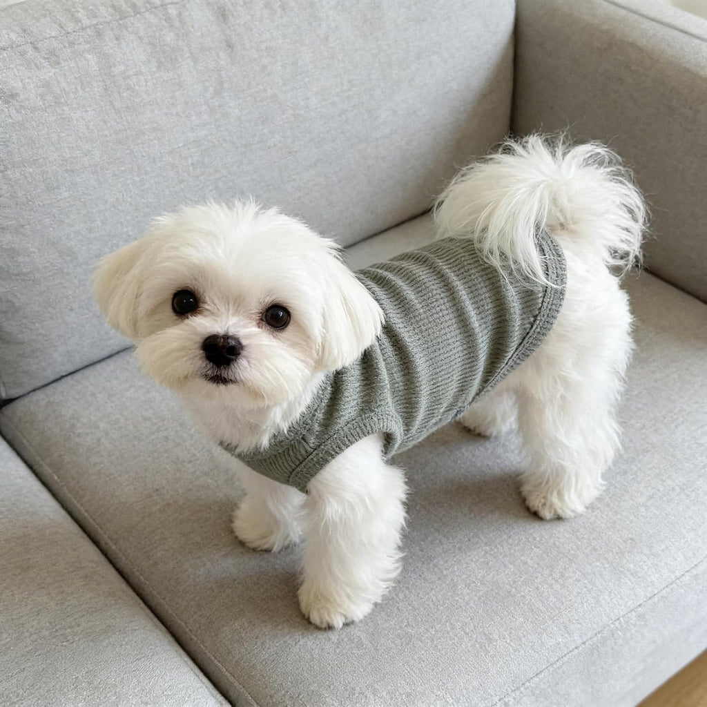 Hundekleidung Hundeweste Tank Top atmungsaktiv leicht OP-Body Chihuahua M Gruen