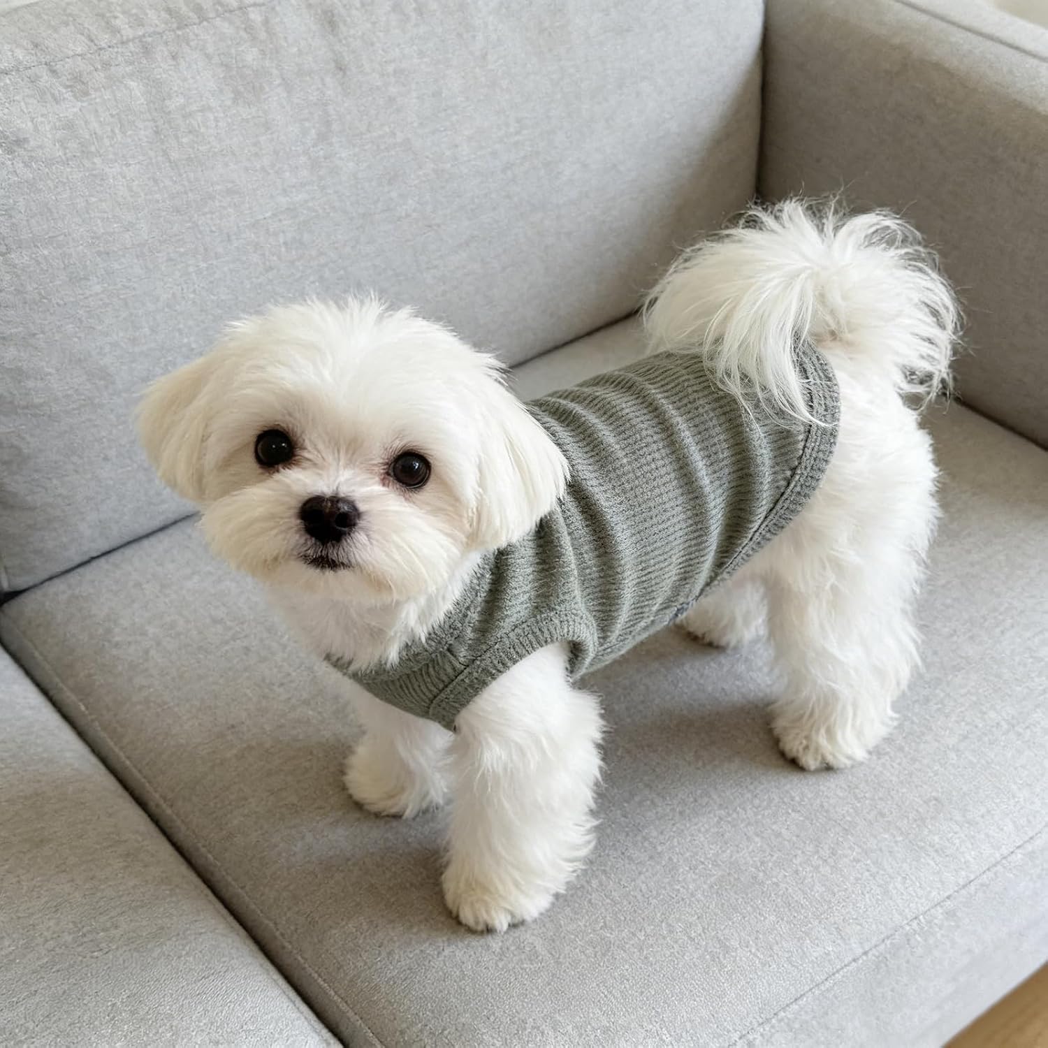 Hundekleidung Hundeweste Tank Top atmungsaktiv leicht OP-Body Chihuahua M Gruen
