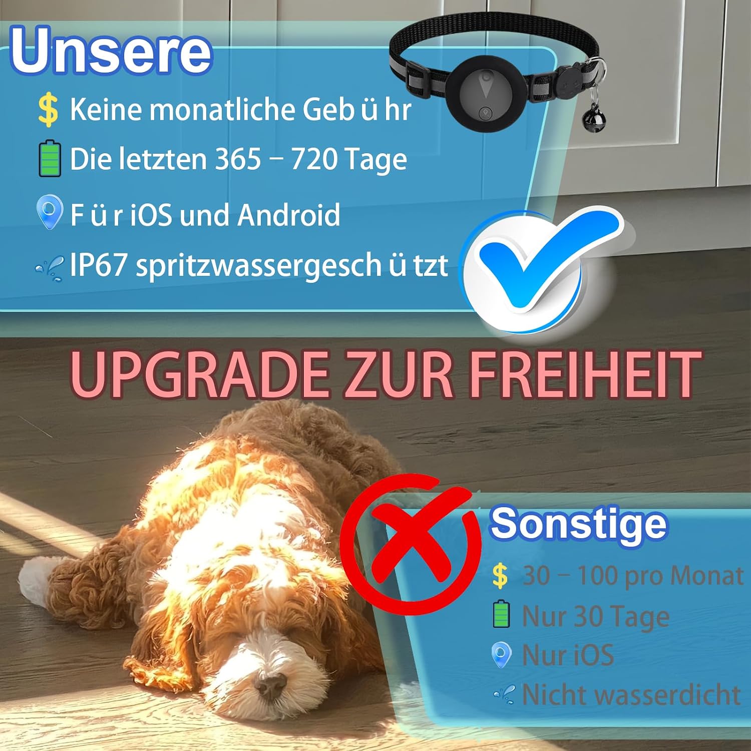 GPS Tracker fuer Katzen ohne Abo mit Echtzeitortung und Aktivitaetsverlauf