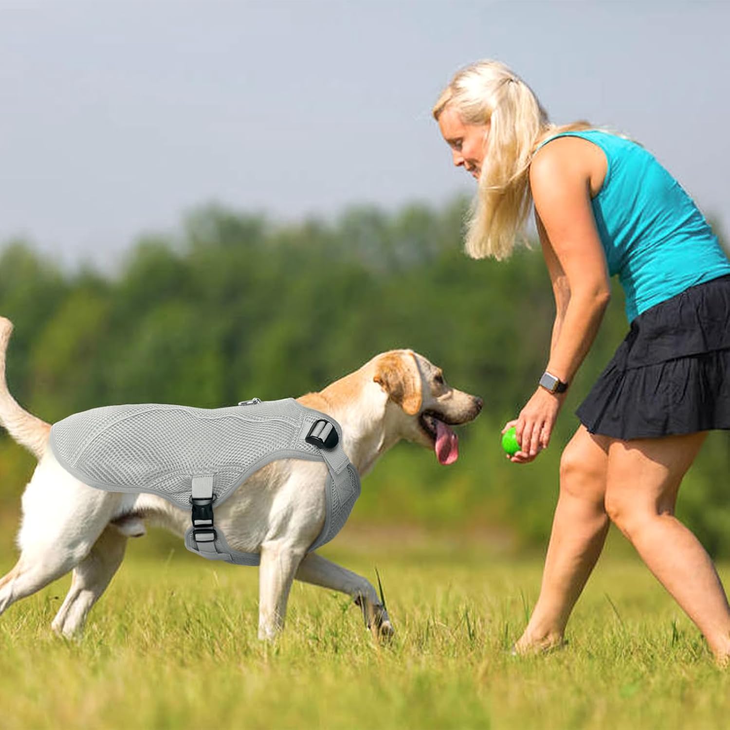 Kuoser Hundekuehlweste blau Groesse S-XXL atmungsaktiv Sonnenschutz Hitzeschutz