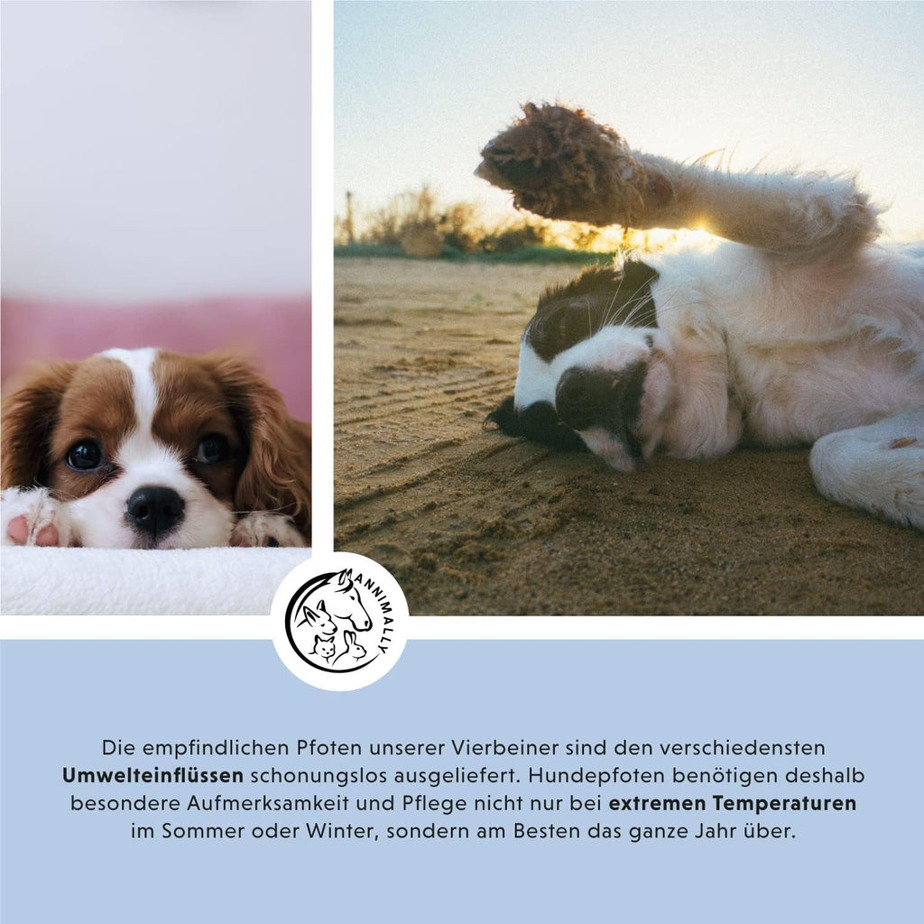 Annimally Pfotenbalsam 50g fuer Hund & Katze mit Bienenwachs, Sheabutter