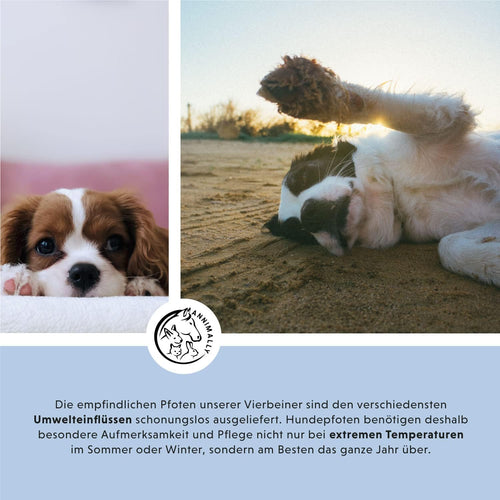 Annimally Pfotenbalsam 50g fuer Hund & Katze mit Bienenwachs, Sheabutter