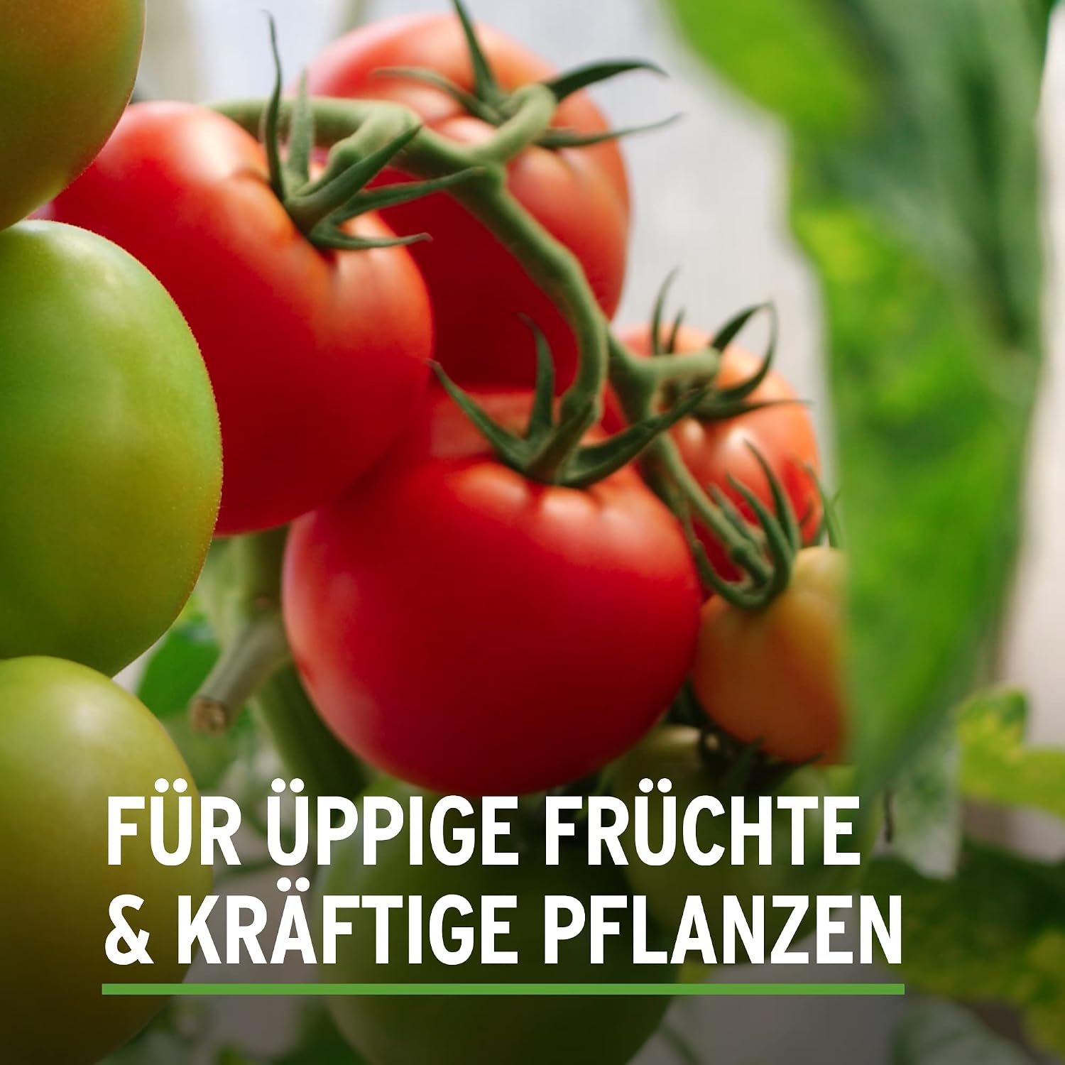 Substral Universal Fluessigduenger fuer alle Gartenpflanzen mit Humifirst