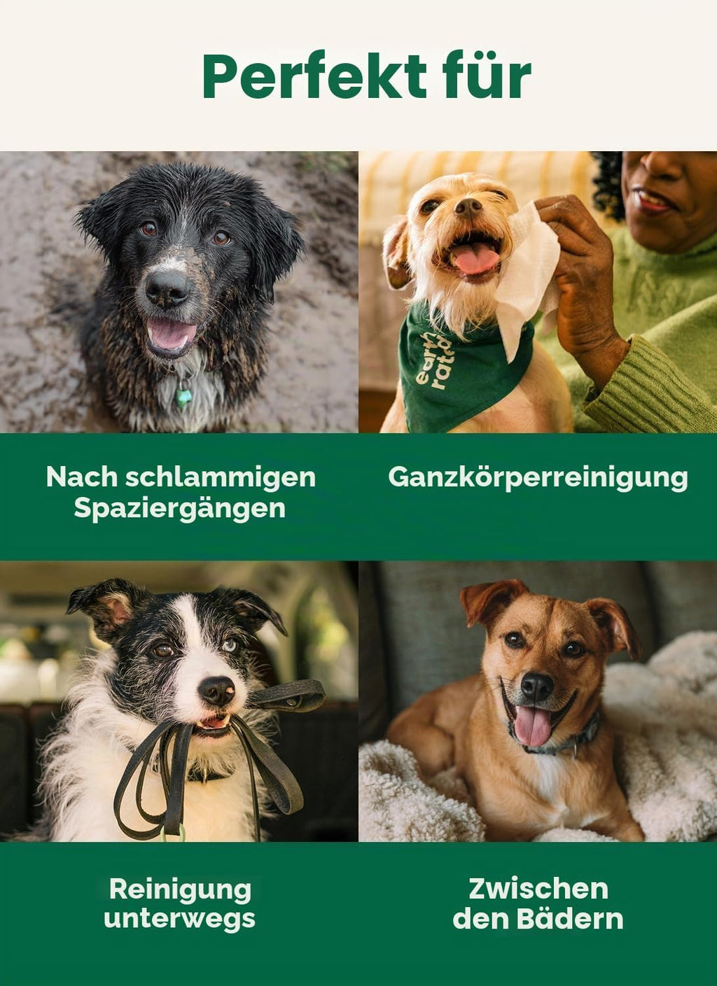 Earth Rated Hunde Feuchttuecher Lavendel 100 Stueck pflanzliche Pflegetuecher