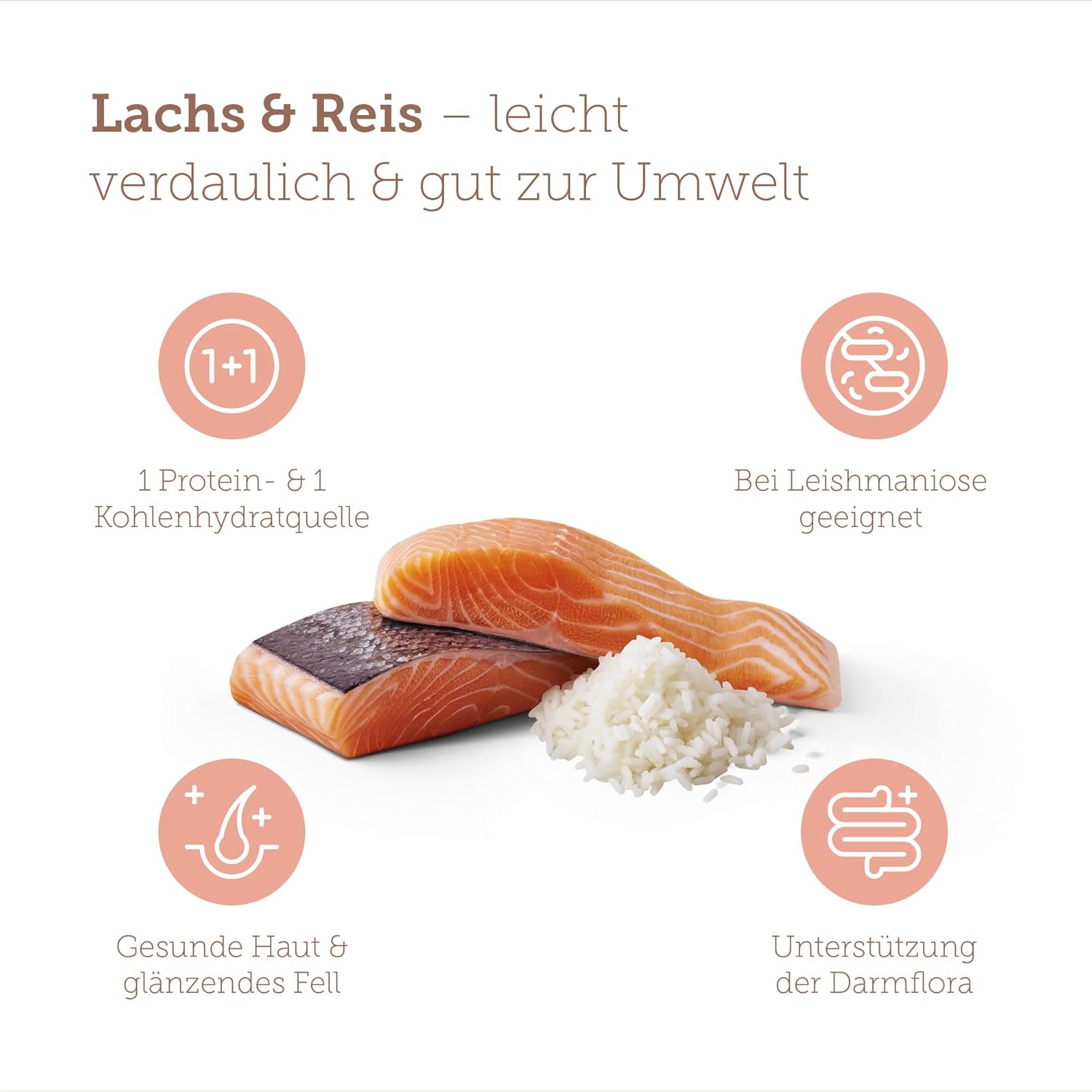 MERA Pure Sensitive Lachs & Reis Trockenfutter fuer ausgewachsene Hunde -12,5k