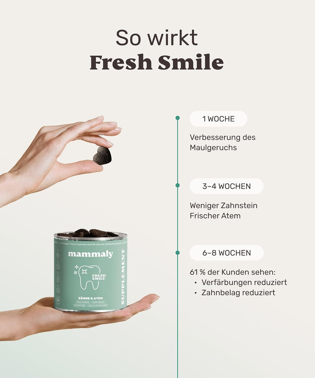 mammaly Fresh Smile Hundezahnpflege Leckerli 10-in-1 verschiedene Sort