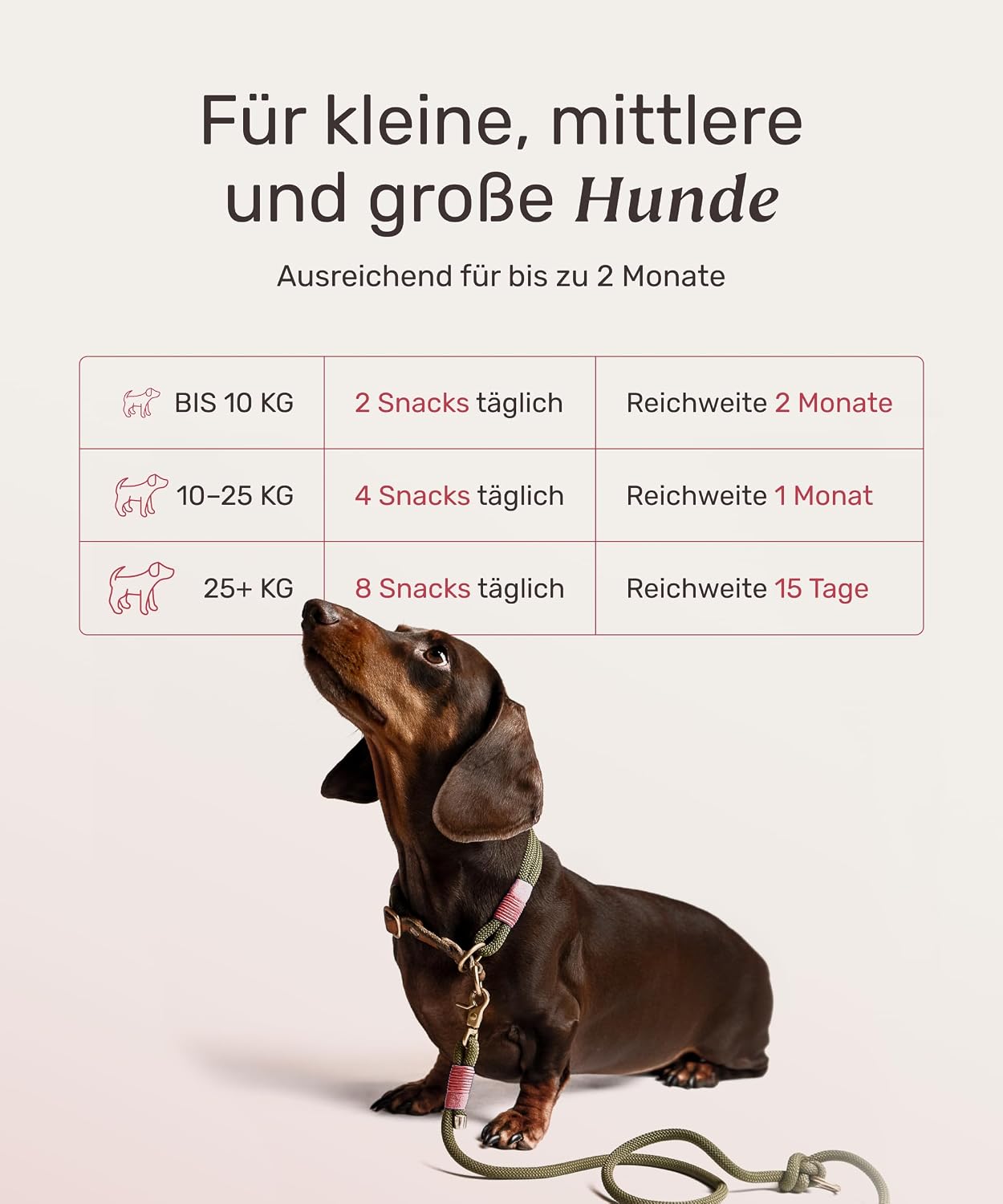 mammaly Lucky Belly Probiotika Hundeleckerlis fuer Magen und Darm