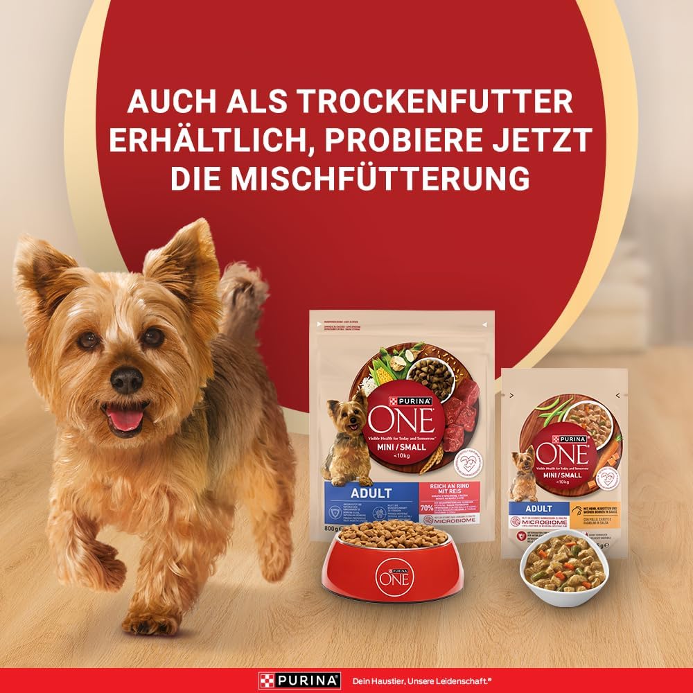 Purina ONE Mini/Small Adult Trockenfutter Rind & Reis 8 x verschiedene Sort