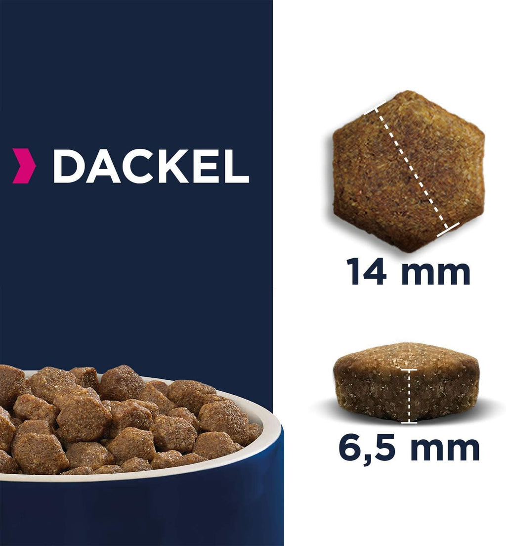 Eukanuba Breed Specific Dackel Trockenfutter - optimal auf die Rasse abgestimmte