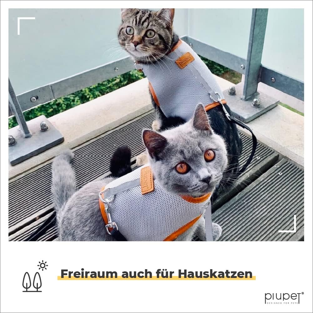 PiuPet Katzengeschirr M mit 1,2 m Leine, Anti-Ausbruch Halsband für Kätzchen