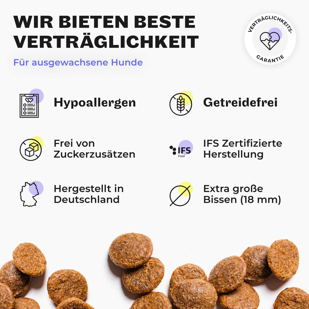 Hey Holy Bulldoggen Trockenfutter getreidefrei hypoallergen mit Lachs