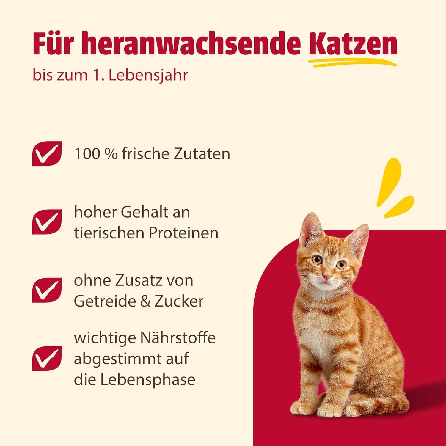 Katzennassfutter Kitten Carny 200- verschiedene Sorten Getreidefrei
