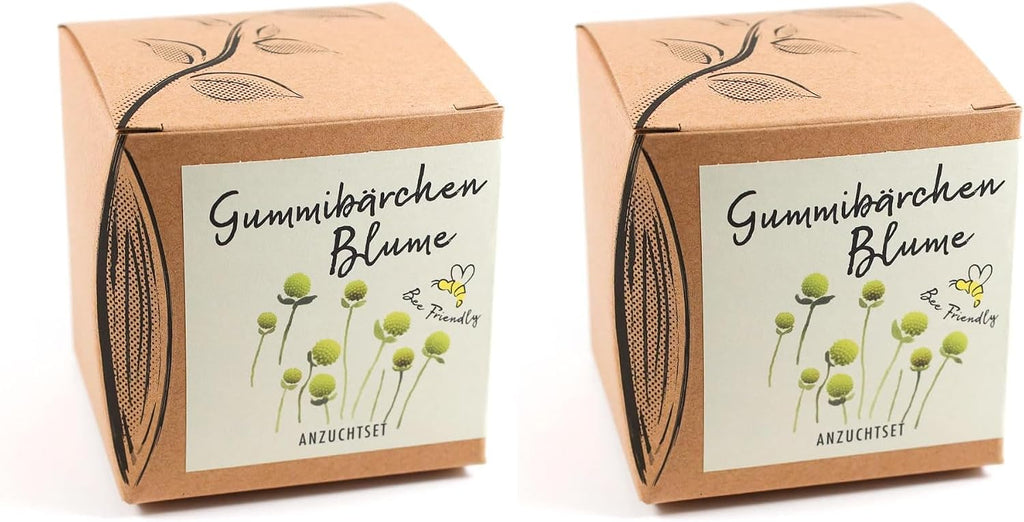 Gummibaerchenblume Anzuchtset 8,7cm Geschenk Pflanzset
