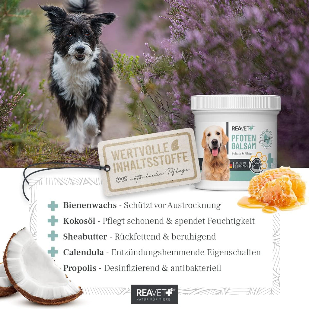 ReaVET Pfotenreiniger Pfotenschaum Hamamelis Gurke Hund Pfotenpflege