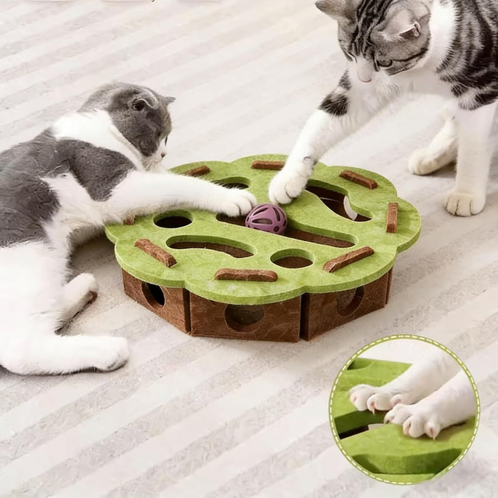 Intelligenzspielzeug für Katze Fummelbrett Labyrinth Kratzbox Filz