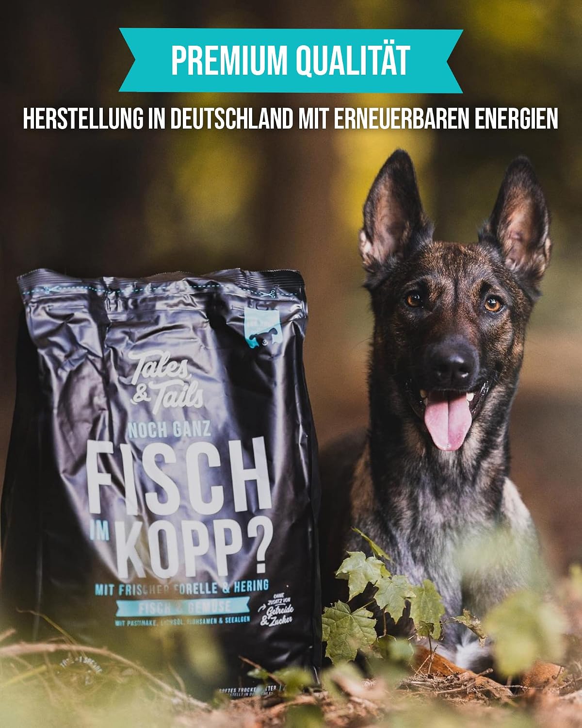 Tales & Tails halbfeuchtes Hundefutter getreidefrei Pferd verschiedene So