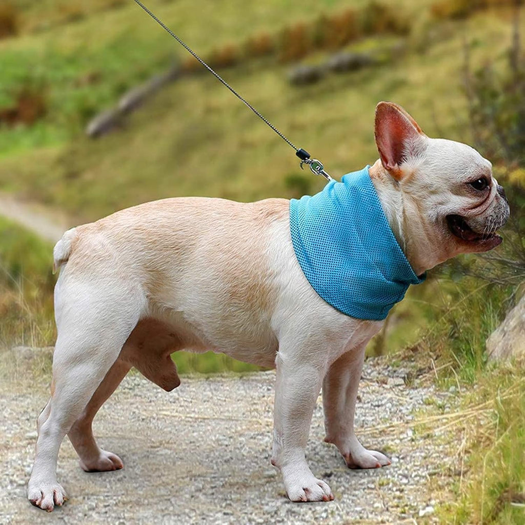 Kuehlhalstuch fuer Hunde S-L, atmungsaktives selbstkuehlendes Hundehalsband