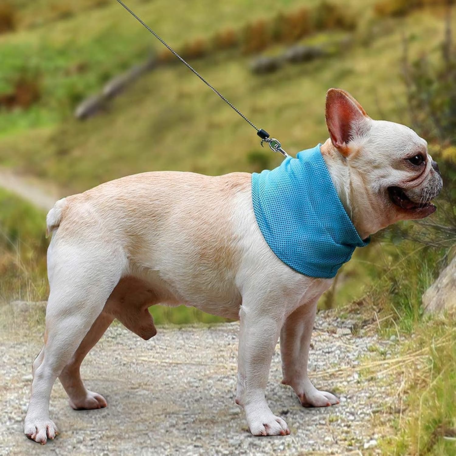 Kuehlhalstuch fuer Hunde S-L, atmungsaktives selbstkuehlendes Hundehalsband