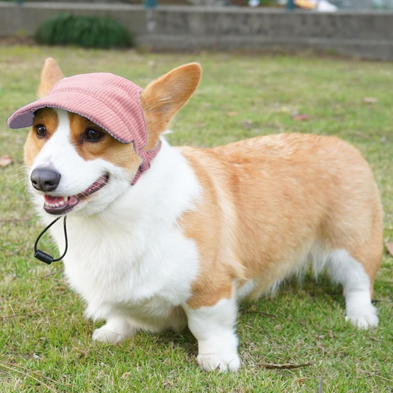 Hunde Baseballmuetze mit Ohrloechern verstellbar S-M Rosa Sonnenschutz