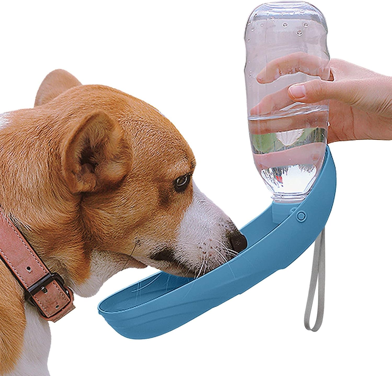 NAMSAN Hunde Trinkflasche 550 ml faltbar mit Napf unterwegs blau