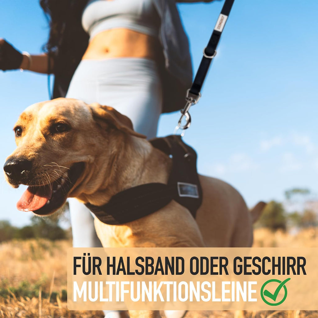 3 m verstellbare Hundeleine 4-fach wasserfest schmutzabweisend fuer grosse Hunde
