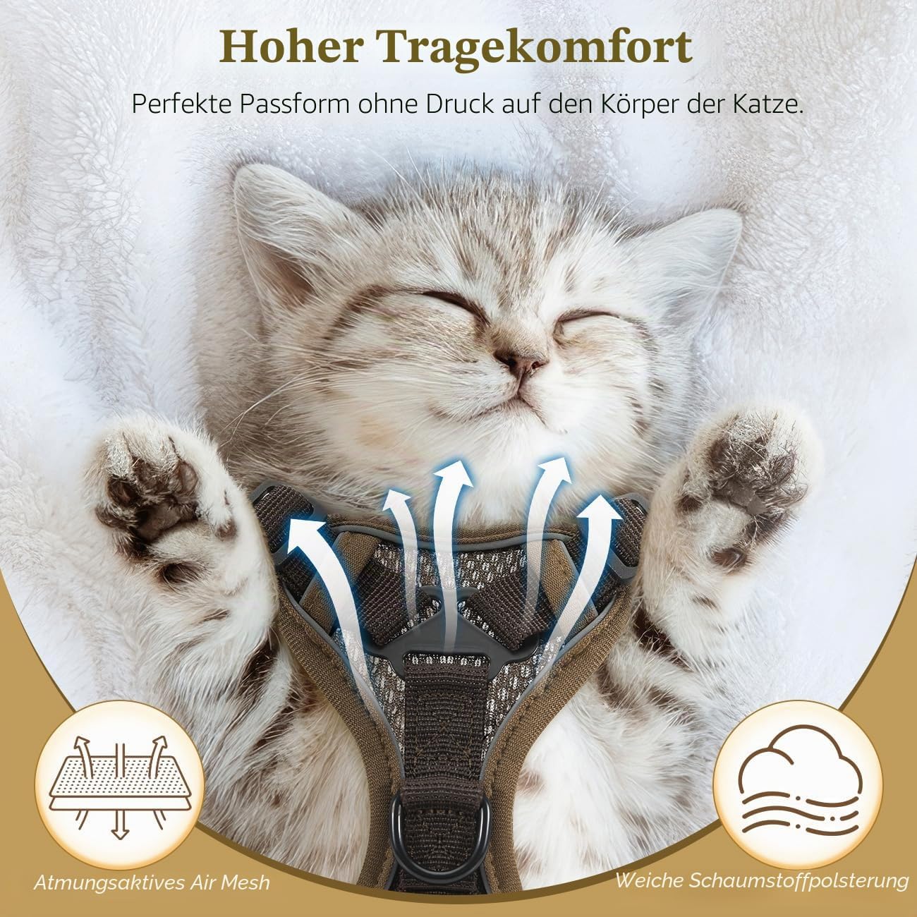 VavoPaw Katzengeschirr ausbruchsicher verstellbar mit Leine S Kaffee