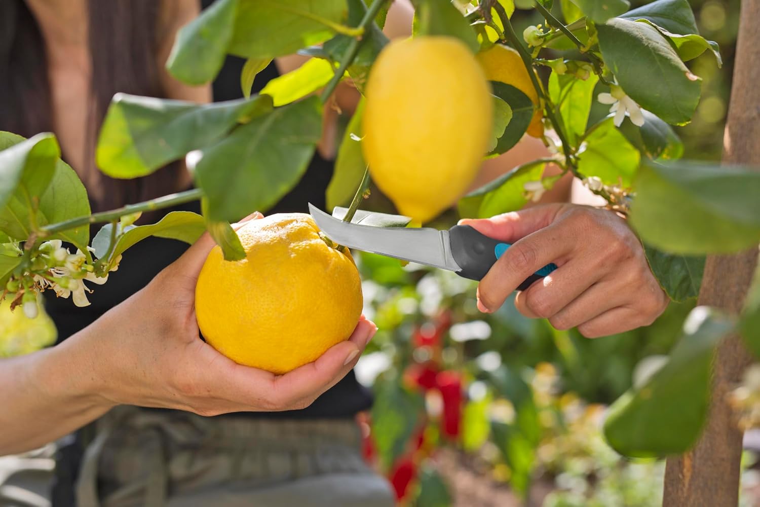 Gardena VeggieCut Erntemesser Edelstahl rutschfester Griff Guertel-Schleife