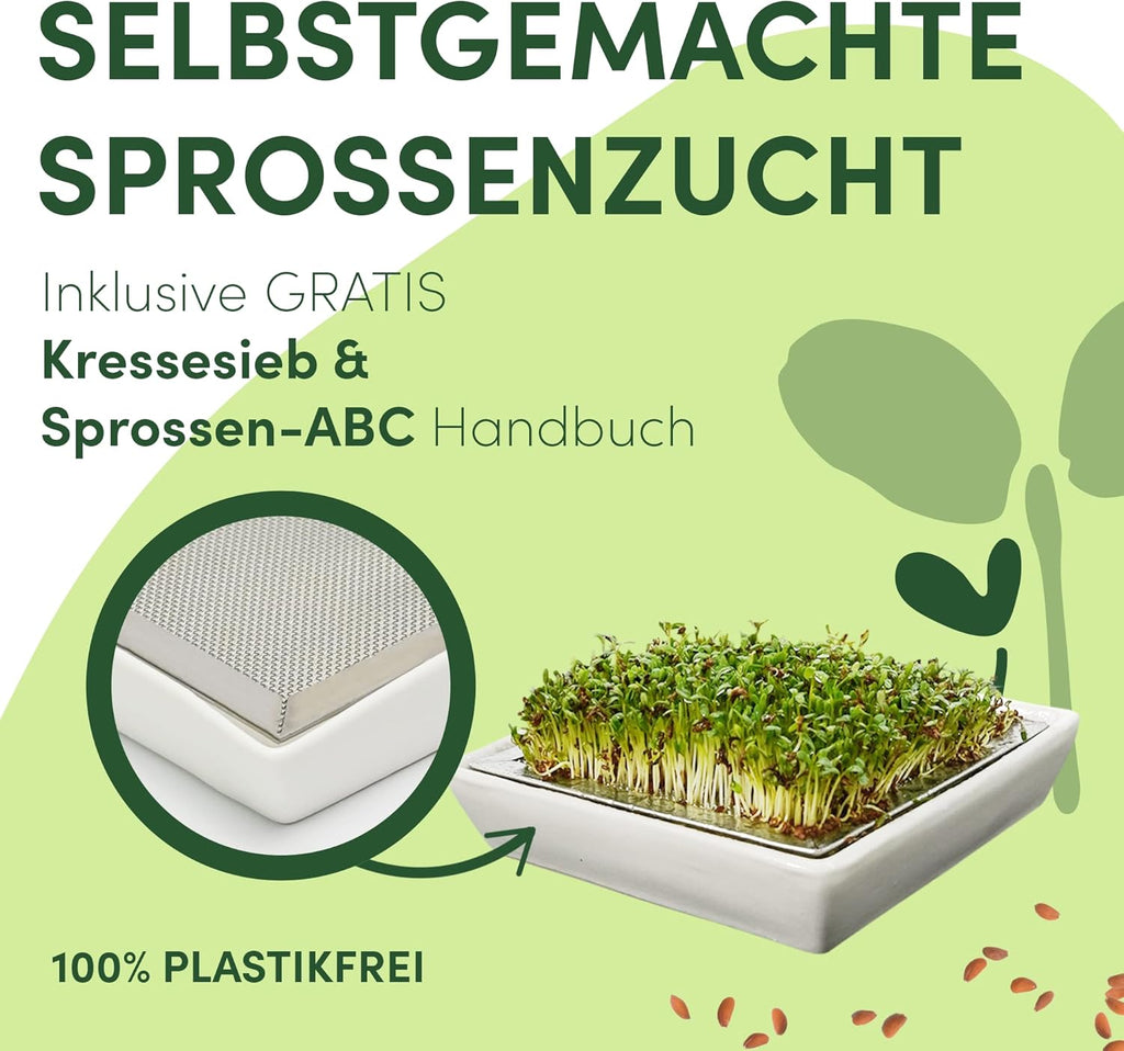 Kressesieb Keramikschale mit Edelstahlsieb Kresse Anzuchtset