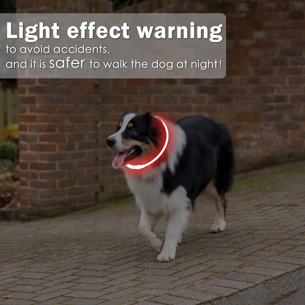 Coolzon LED Leuchthalsband Hundehalsband aufladbar wasserdicht 3 Modi Gruen