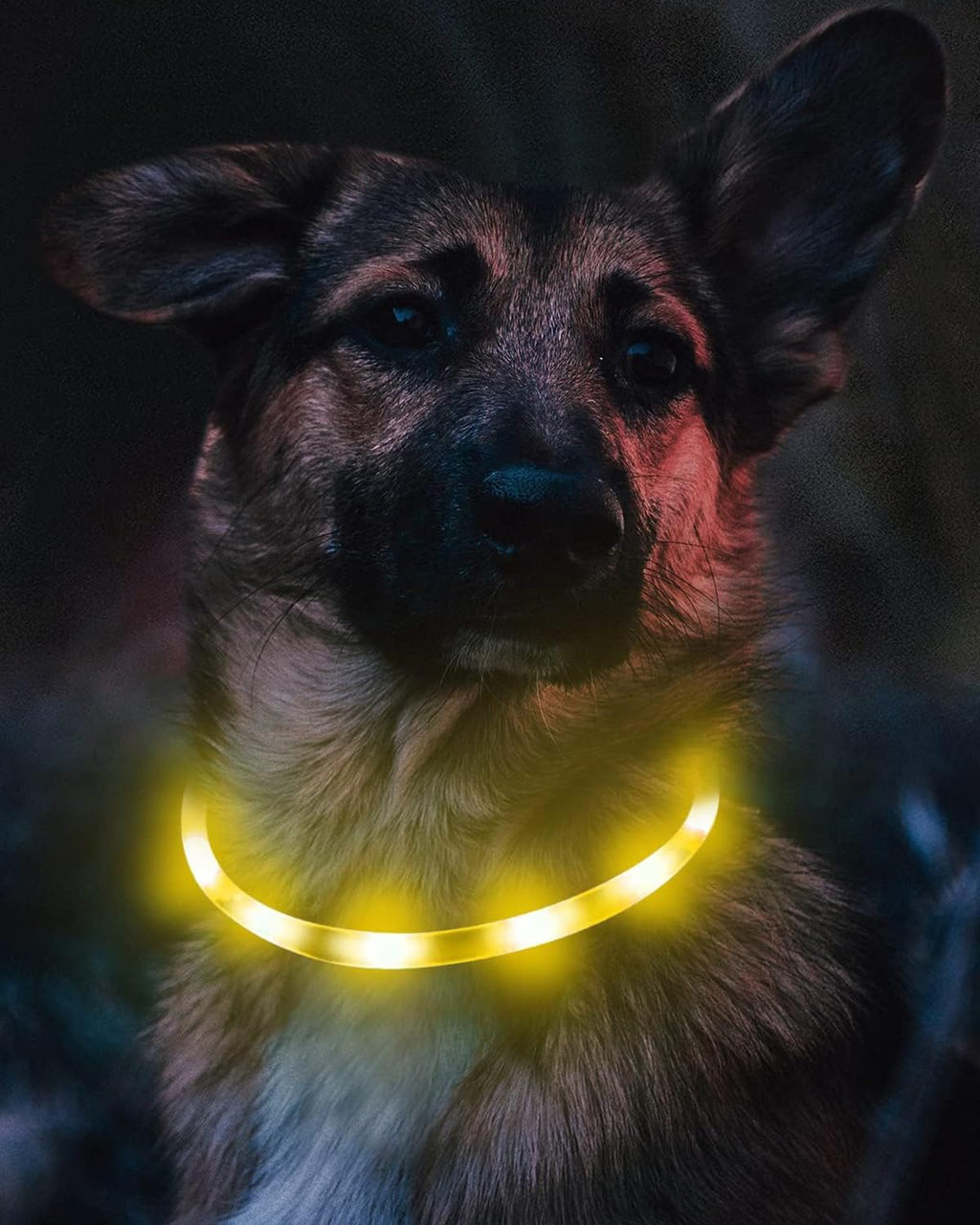 Joytale LED Leuchthalsband USB aufladbar Rosa - 3 Modi fuer kleine bis grosse Hund