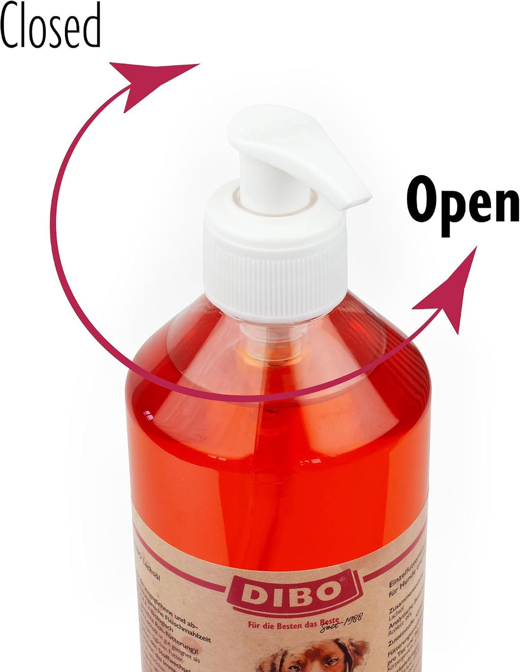 Lachsöl für Hunde und Katzen 500 ml Omega 3 6 Pumpspender Fell Haut