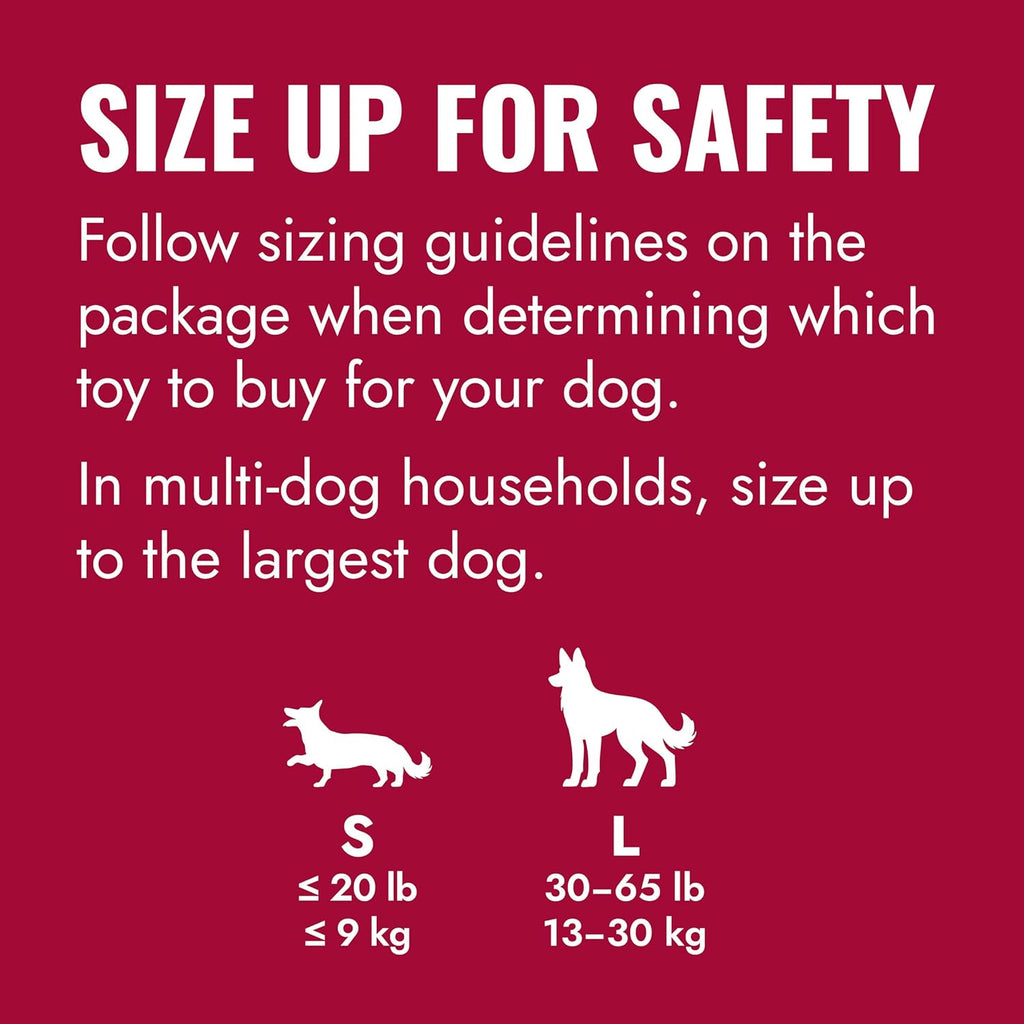 KONG Flyer Wurfscheibe aus Naturkautschuk fuer Hunde