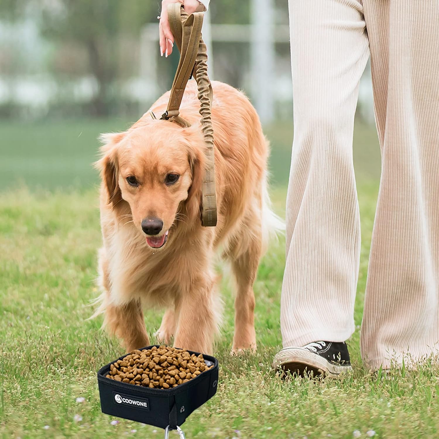 Faltbarer Trinknapf fuer Hunde und Katzen, 2er Set, auslaufsicher, reisefreundlic