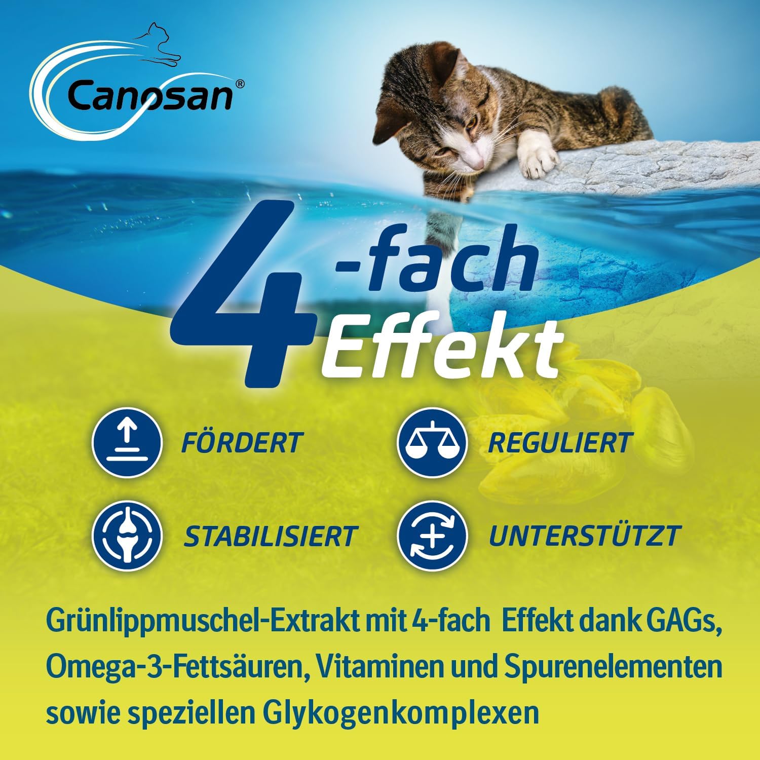 Canosan Kautabletten 30 Stk Grünlippmuschel Katzen Gelenkgesundheit