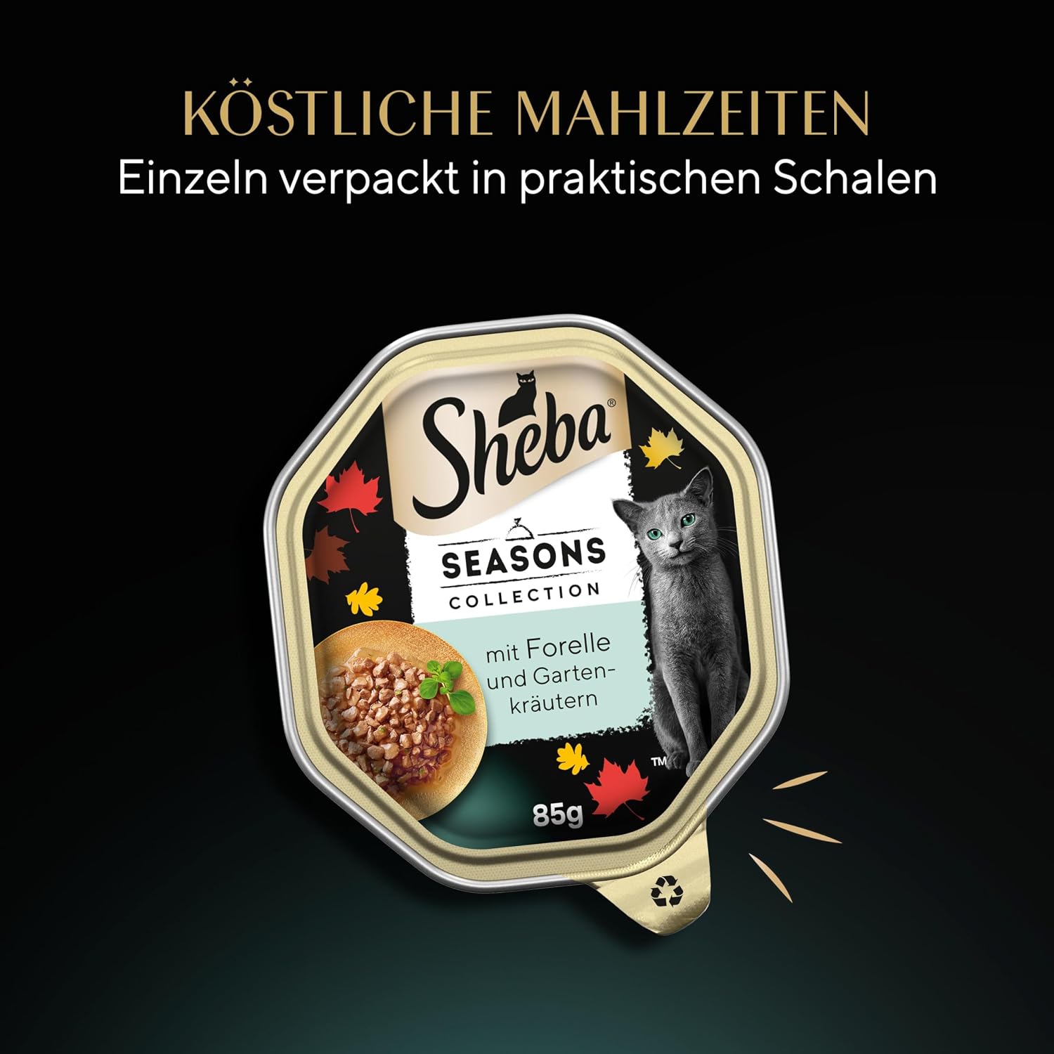 Katzen Nassfutter 22 x 85 g Schale Mix Collection Katzennassfutter
