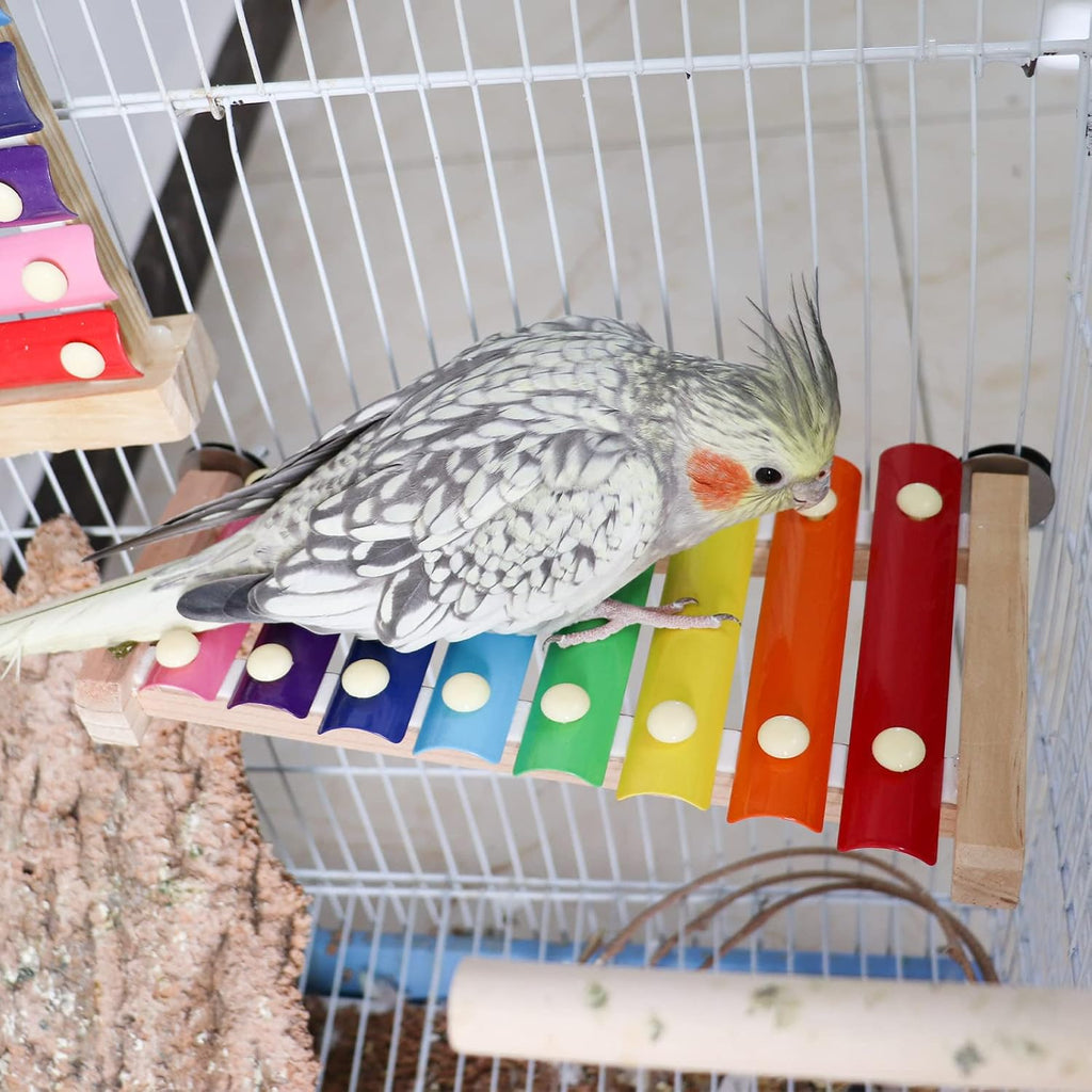 Vogelspielzeug Xylophon hängend für Papagei Wellensittich Käfig Zubehör