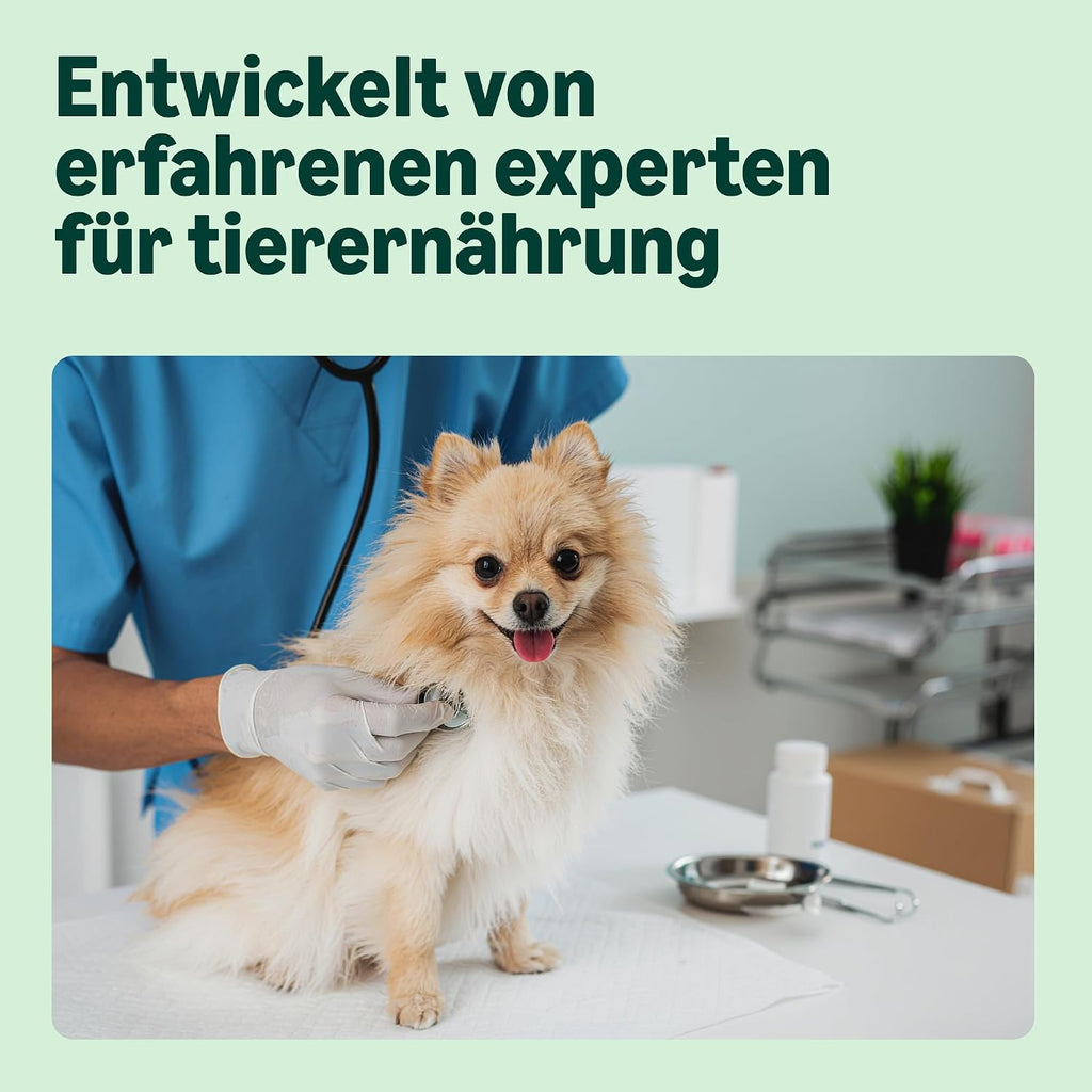 Hundefutter Adult kleinrassen 3 kg Trockenfutter Lachs & Reis