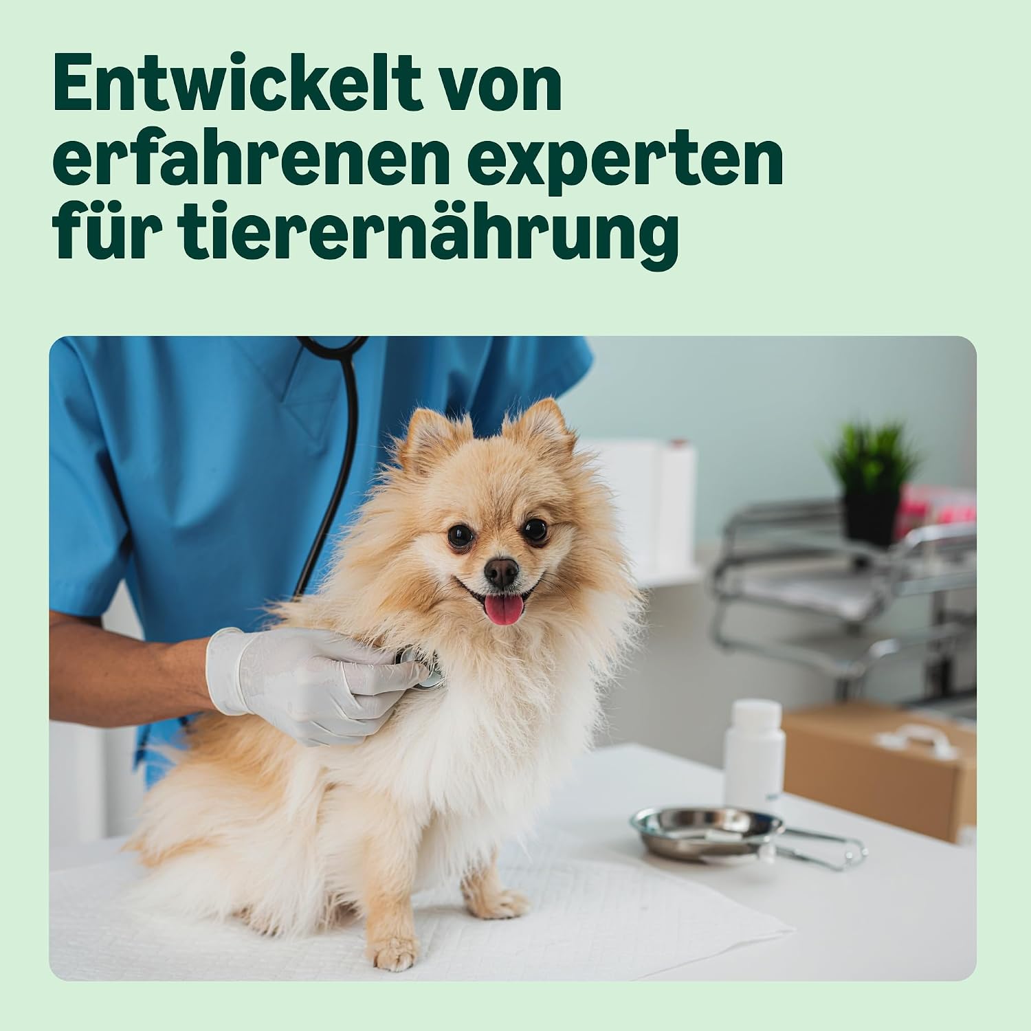 Hundefutter Adult kleinrassen 3 kg Trockenfutter Lachs & Reis