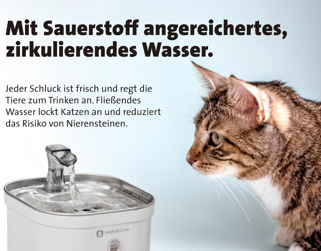 Molly&Cody Trinkbrunnen Spring fuer Katzen und Hunde, Edelstahl, leise Pumpe