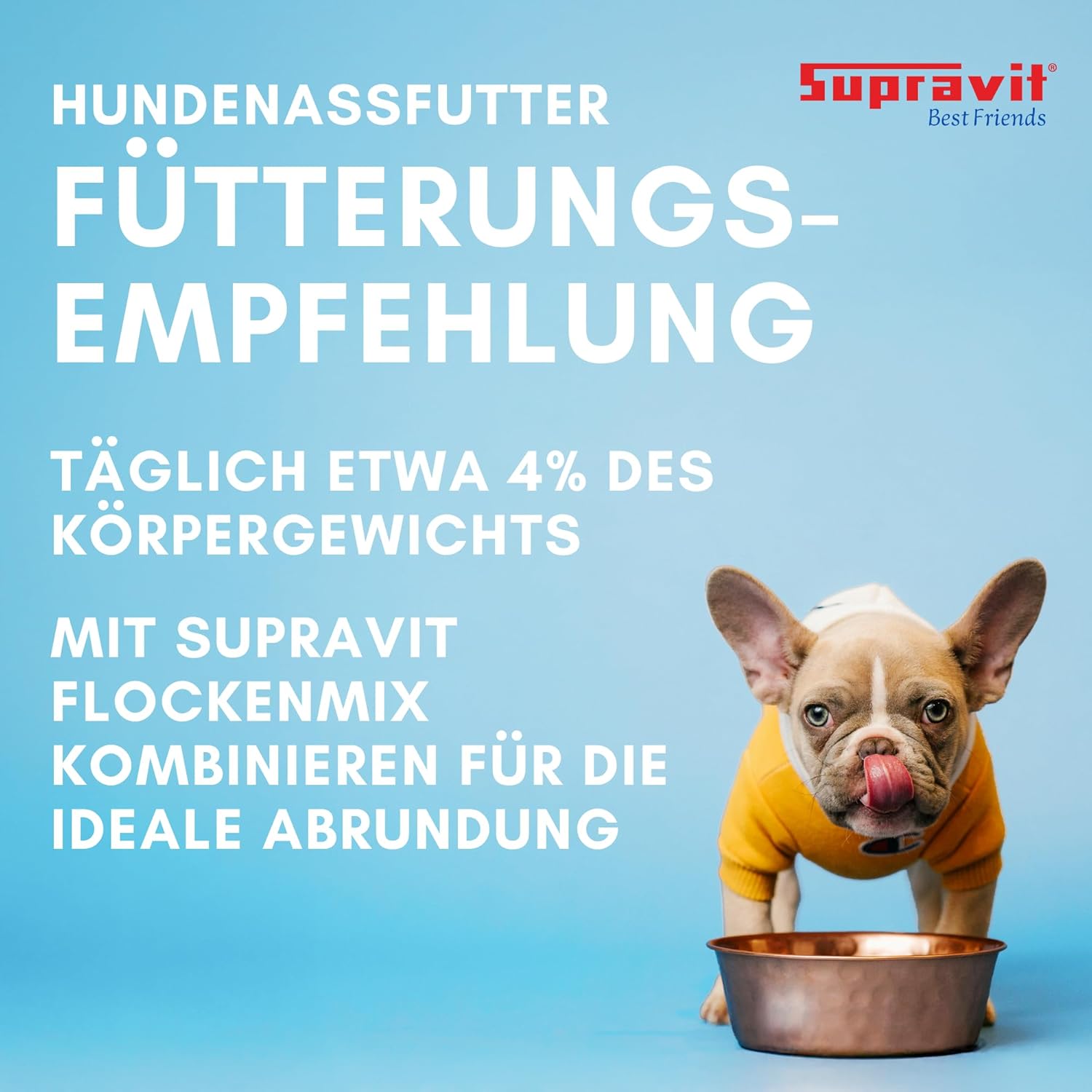 Supravit Hundefutter Nass Fisch & Lachs 12× getreidefrei, verschiedene Sorte