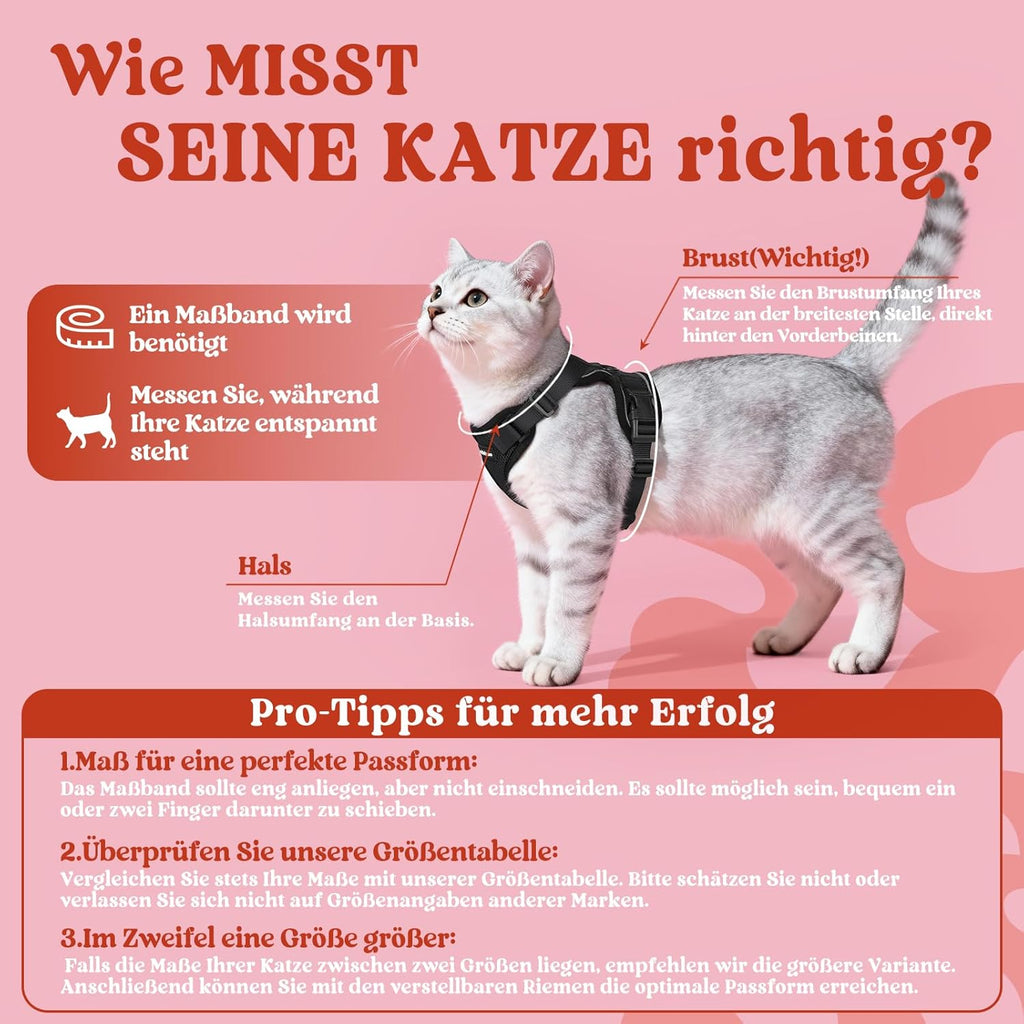 rabbitgoo Katzenbrustgeschirr verstellbar reflektierend mit Leine Schwarz M