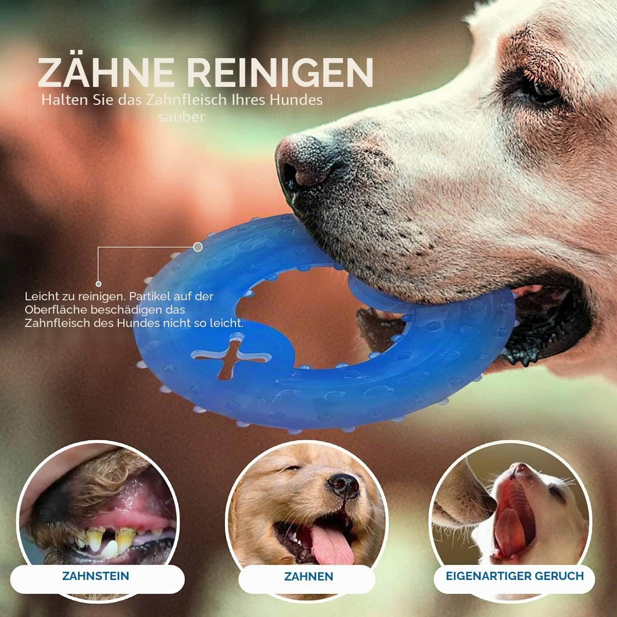 Kauspielzeug Welpe gefrierbar 1 Beissring 1 Knochen Hund Spielzeug Blau Kreis