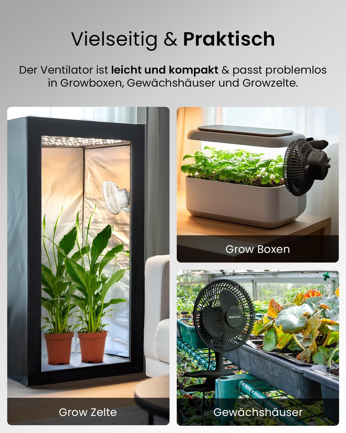 Pro Breeze Mini Clipventilator 20 cm, 2 Stufen, leise Tischventilator fuer Schrei