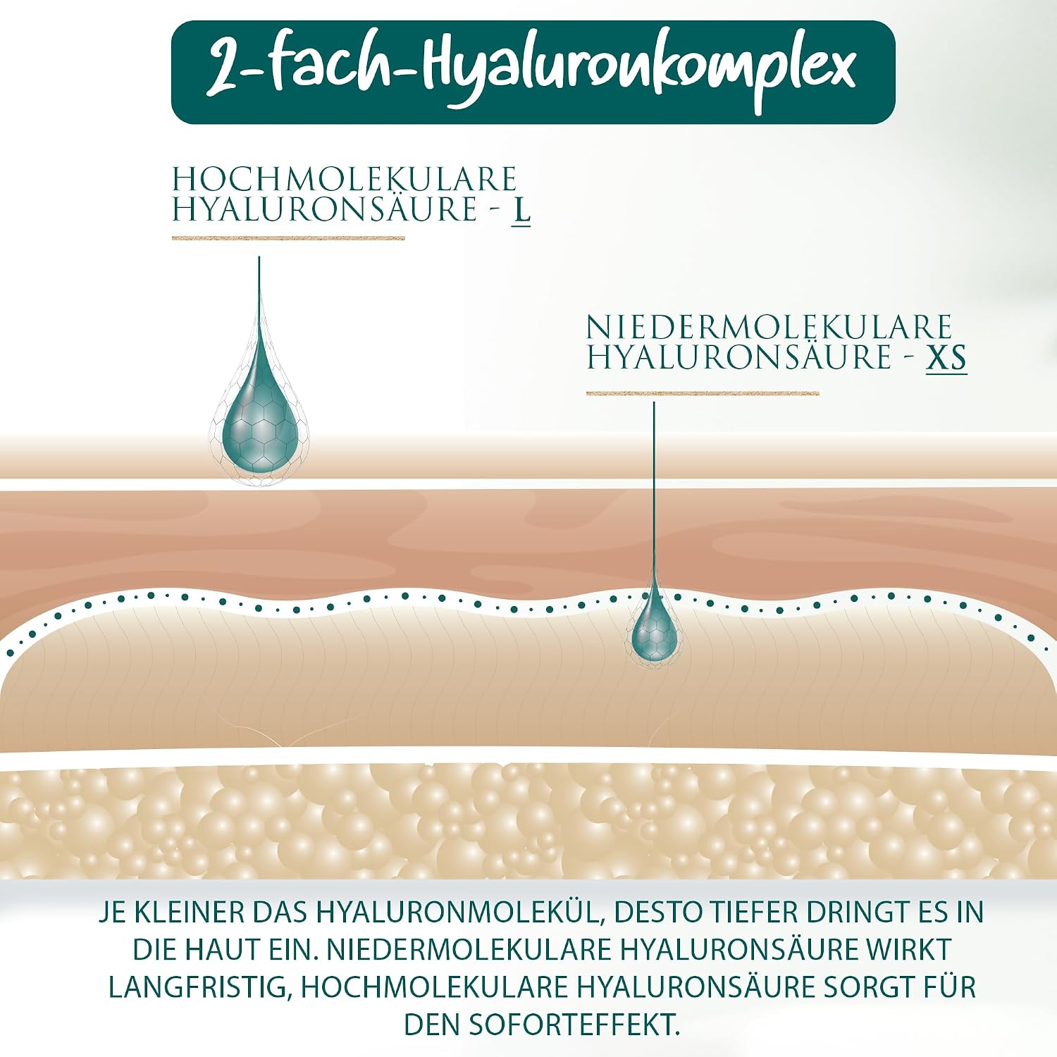 Hyaluron Q10 Creme 100 ml Tages- und Nachtcreme Anti-Falten Bio