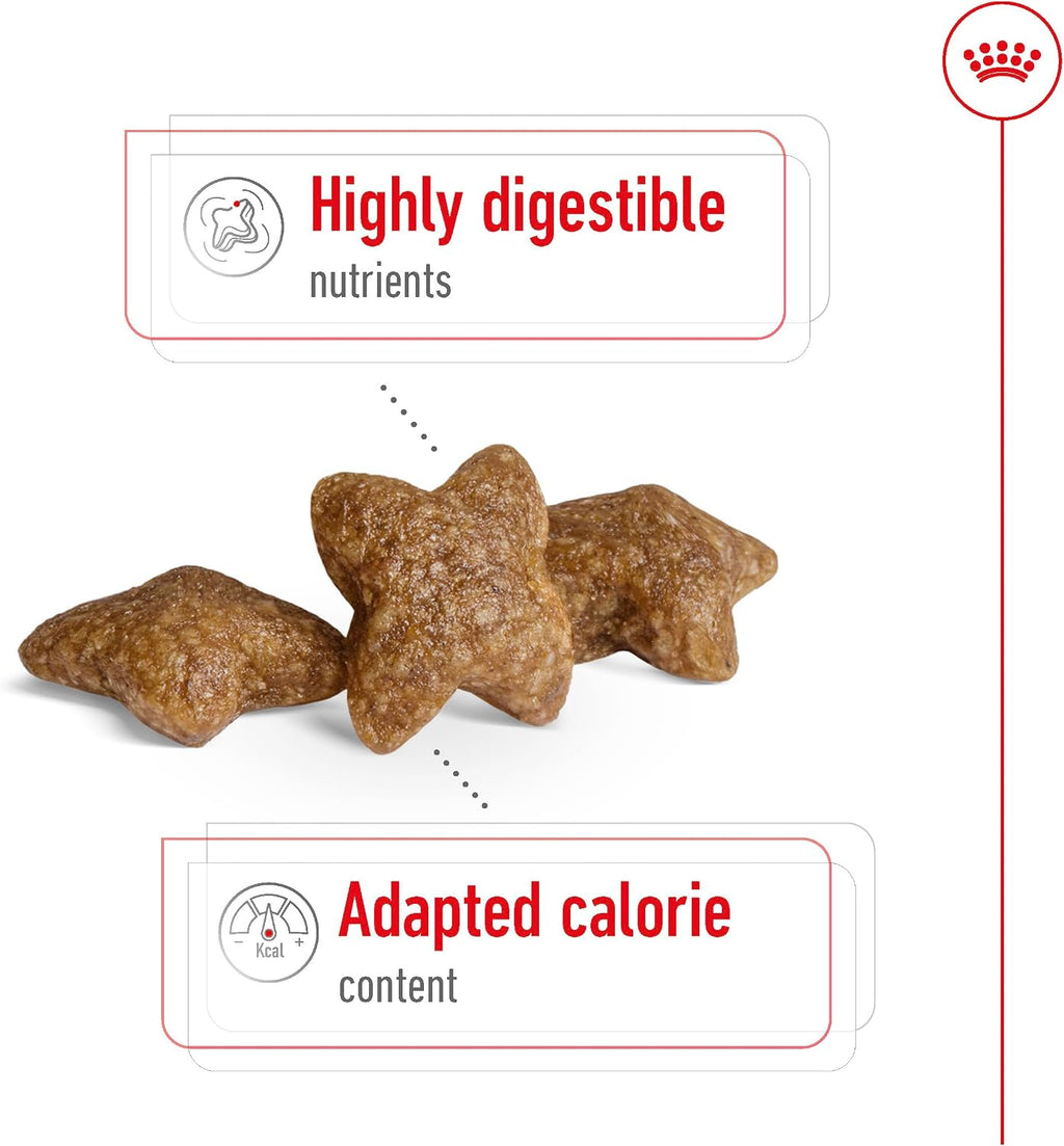 Royal Canin Mini Adult 800 g Alleinfutter Hund kleine Rassen Omega‑3