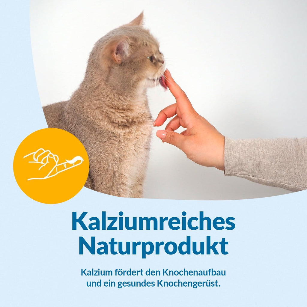 GimCat Pudding mit Calcium Katzensnack laktosereduziert Vollmilch