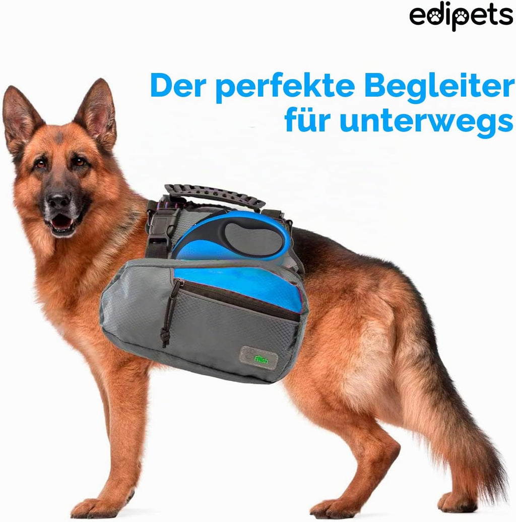 Edipets Hundeleine 5 m ausziehbar Rueckziehbar Training Spaziergang Schwarz