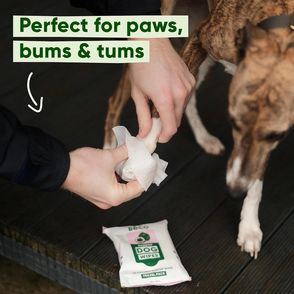 Beco Hundetuecher 4x80 Stueck pflanzlich plastikfrei Pfoten Koerper Po verschiedene