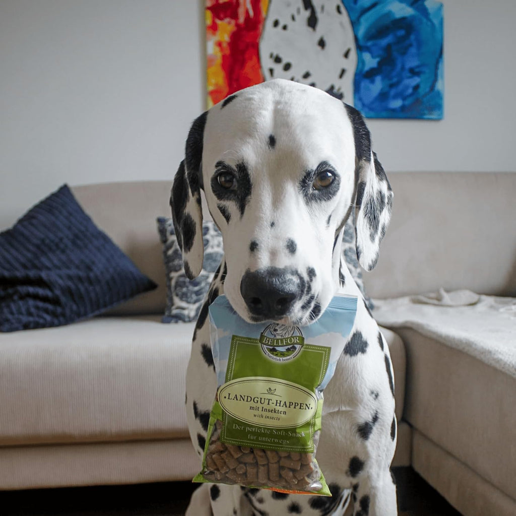 Bellfor Landgut-Happen Insekten - Hypoallergene, getreidefreie Soft-Snacks